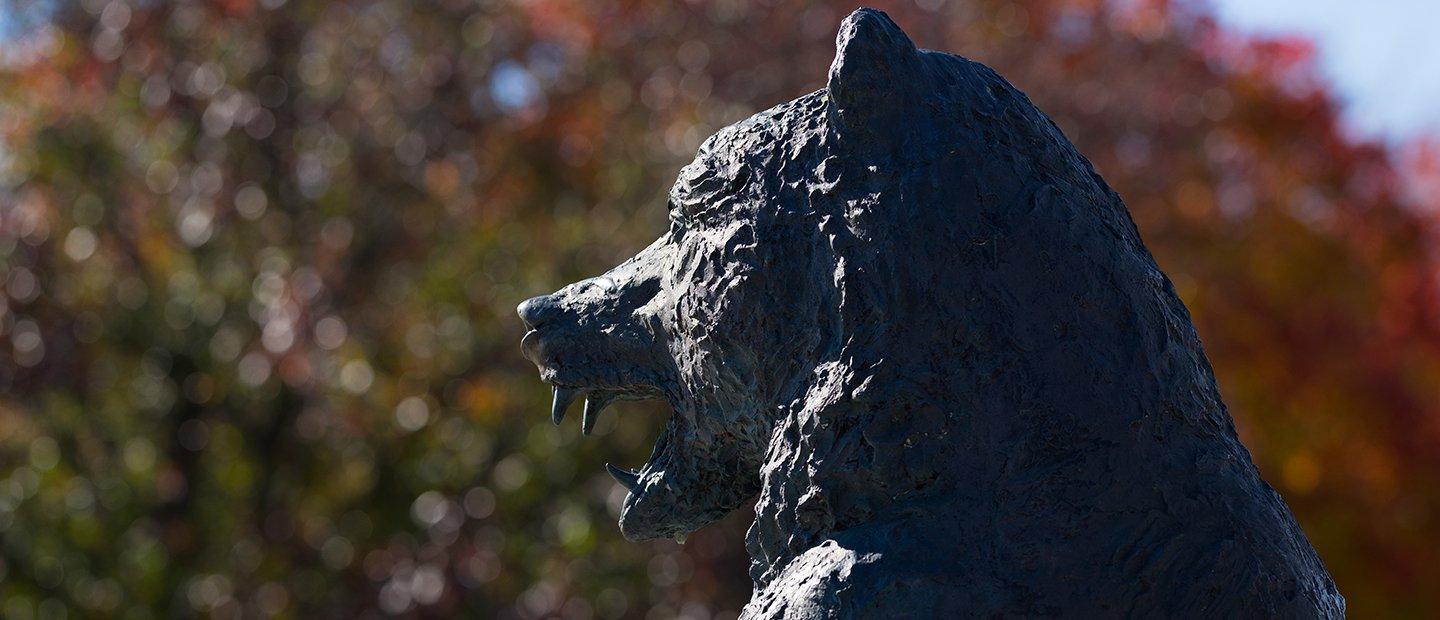 A statue of a bear outdoors.